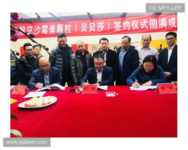 深度对话：杨娜如何在排球世界中书写自己的传奇人生